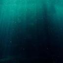 Marine melodies: Inside the battle against oceanic noise pollution