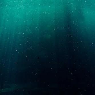 Marine melodies: Inside the battle against oceanic noise pollution