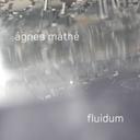 Fluidum