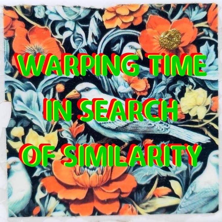 WARPING TIME IN SEARCH OF SIMILARITY
