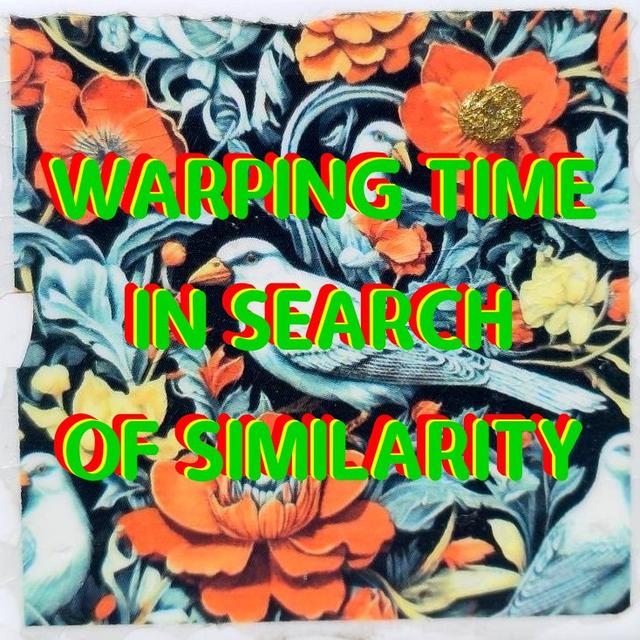 WARPING TIME IN SEARCH OF SIMILARITY
