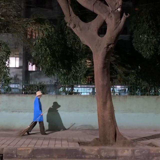 Walking my Bangalore Broom through Malleswharam