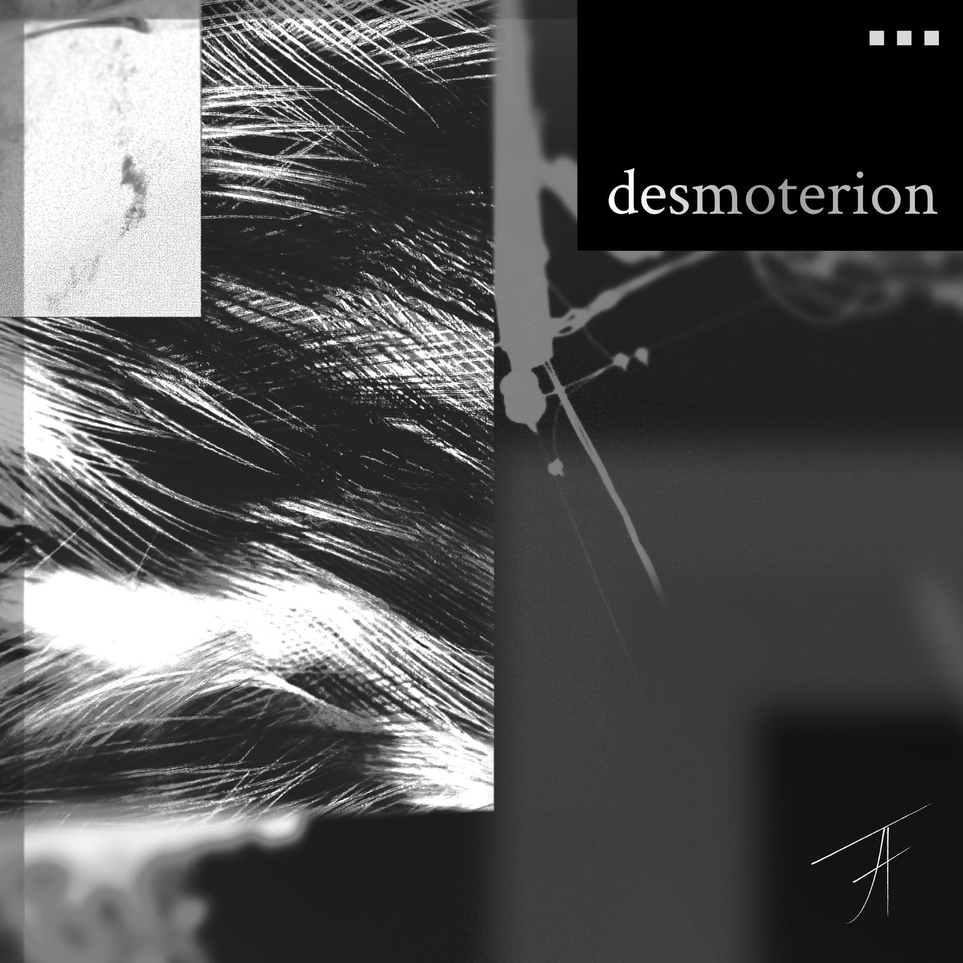 desmoterion