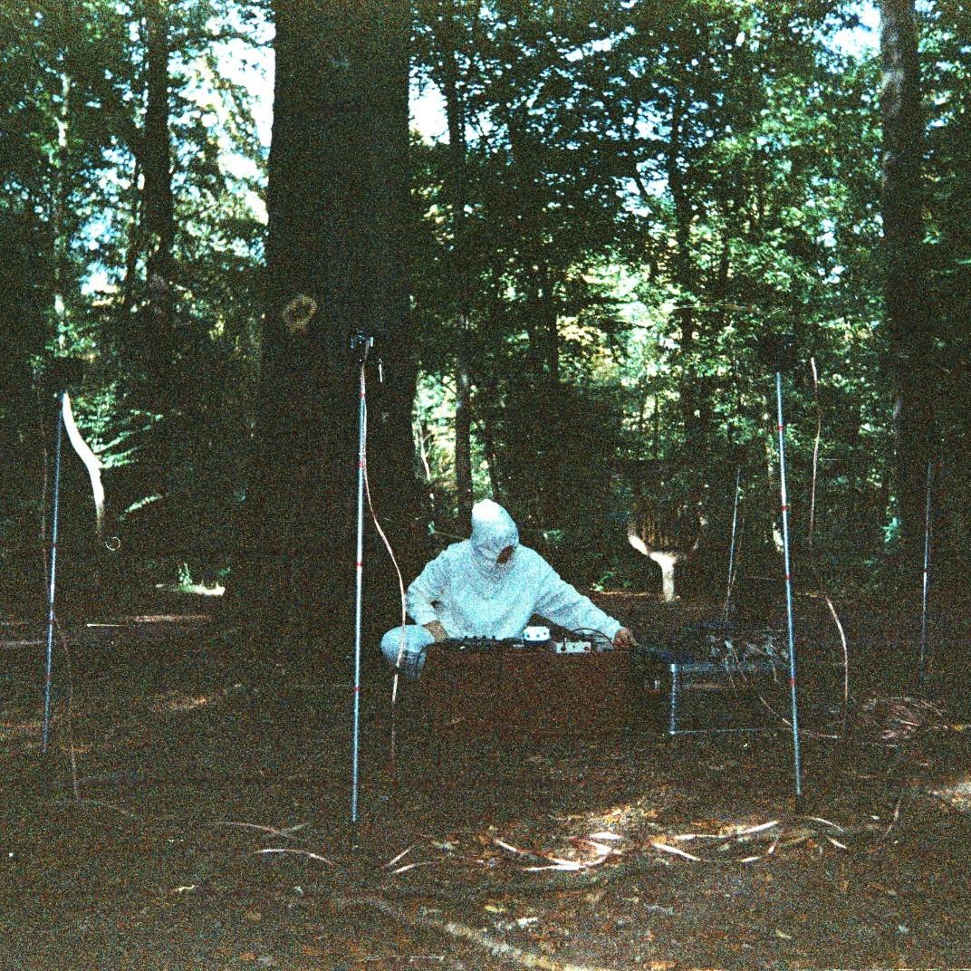 Brazilian Atlantic Forest inside Jagdstern Webicht Weimar