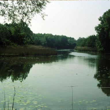 Landscape Soundings Revisited