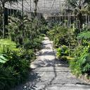 The Gardens Between The Pillars