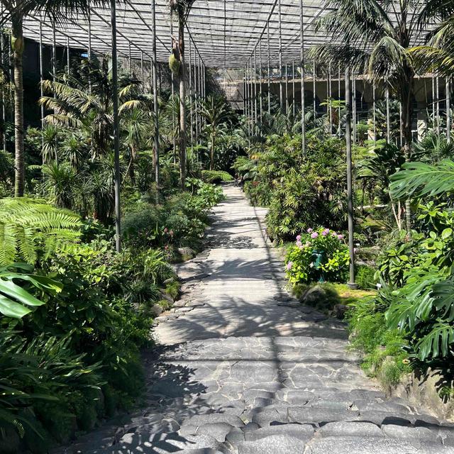 The Gardens Between The Pillars