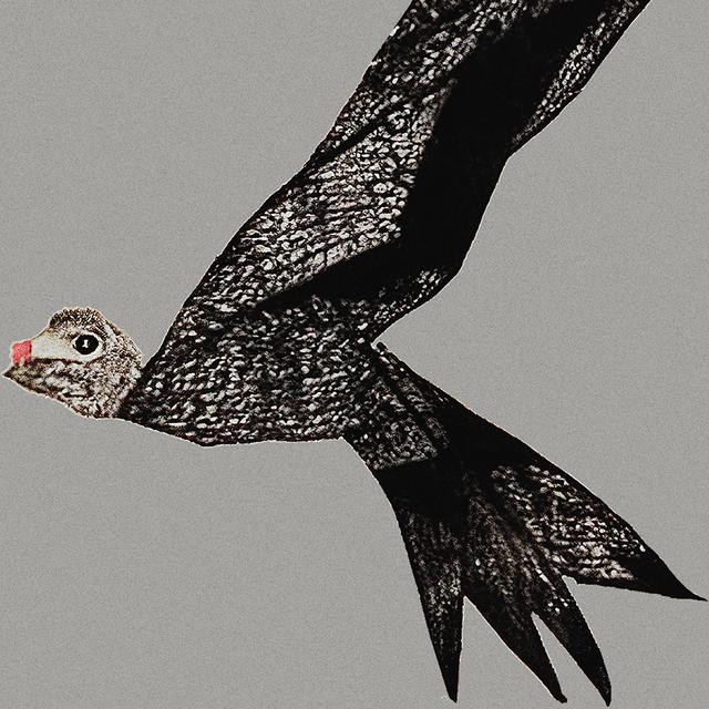 GLYPHE (We Speak in Fragments)