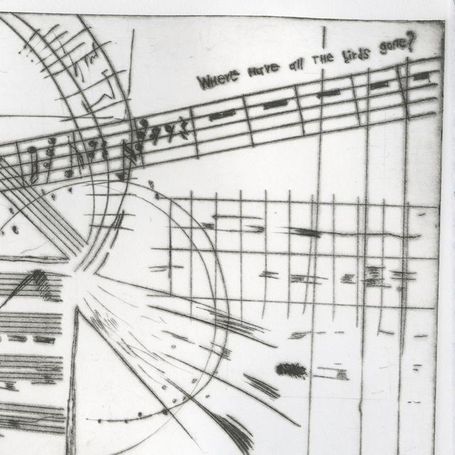 Where Have All The Birds Gone?