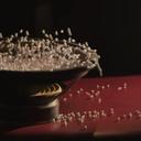 Sowing Snow in Cone Pots