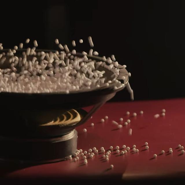 Sowing Snow in Cone Pots