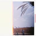 A Cathartic Postcard