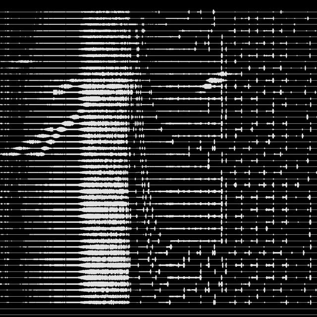 51 Spaces